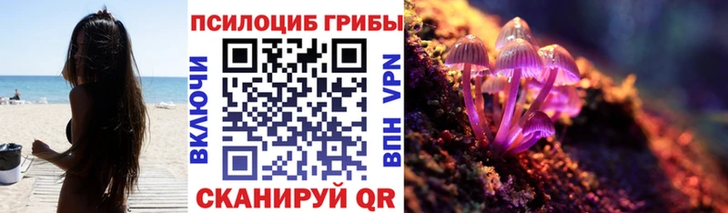 Псилоцибиновые грибы Psilocybine cubensis  закладки  Минеральные Воды 