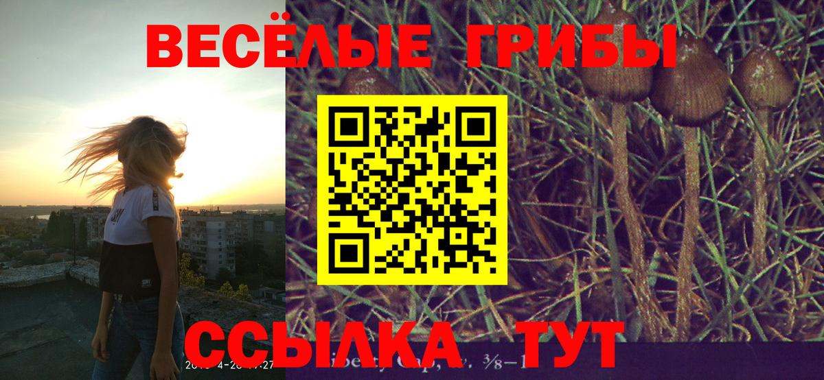 Псилоцибиновые грибы Magic Shrooms  что такое наркотик  Минеральные Воды 