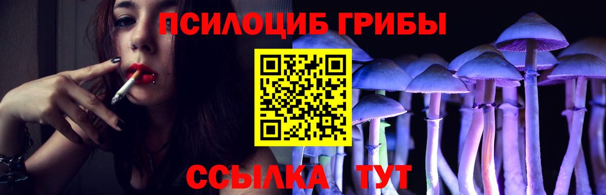 Минеральные Воды  Псилоцибиновые грибы мицелий  Вход с VPN  Псилоцибиновые грибы прущие грибы 