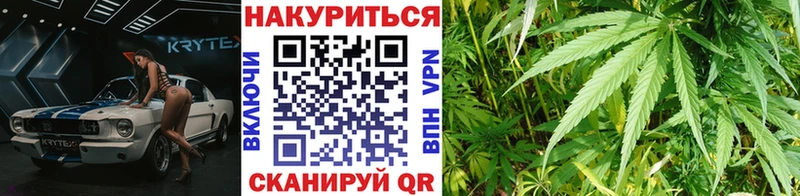 Каннабис планчик Минеральные Воды